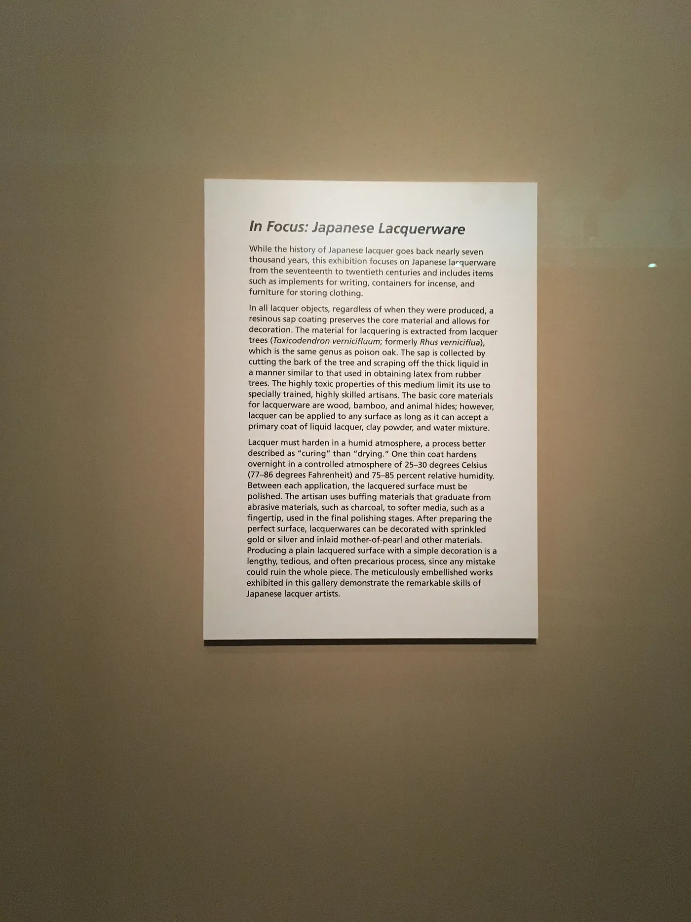 茶室のしつらえもある 撮影:筆者